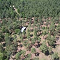 Timber Hill Retreat images 5