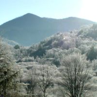 13,000 Acres Standing Indian Campground Deer Hunting Land in Macon, NC images 4