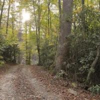 13,000 Acres Standing Indian Campground Deer Hunting Land in Macon, NC images 2