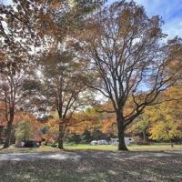 13,000 Acres Standing Indian Campground Deer Hunting Land in Macon, NC images 5