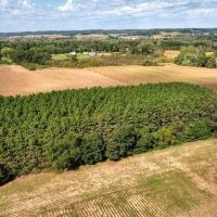Expansive 52 Acre Tract on the La Crosse Monroe County line