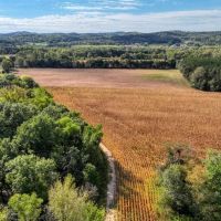 Expansive 52 Acre Tract on the La Crosse Monroe County line images 2