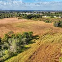 Expansive 52 Acre Tract on the La Crosse Monroe County line images 3