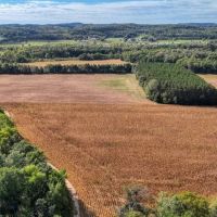 Expansive 52 Acre Tract on the La Crosse Monroe County line images 4