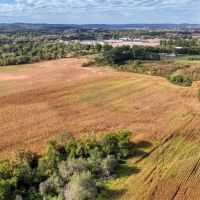 Expansive 52 Acre Tract on the La Crosse Monroe County line images 5