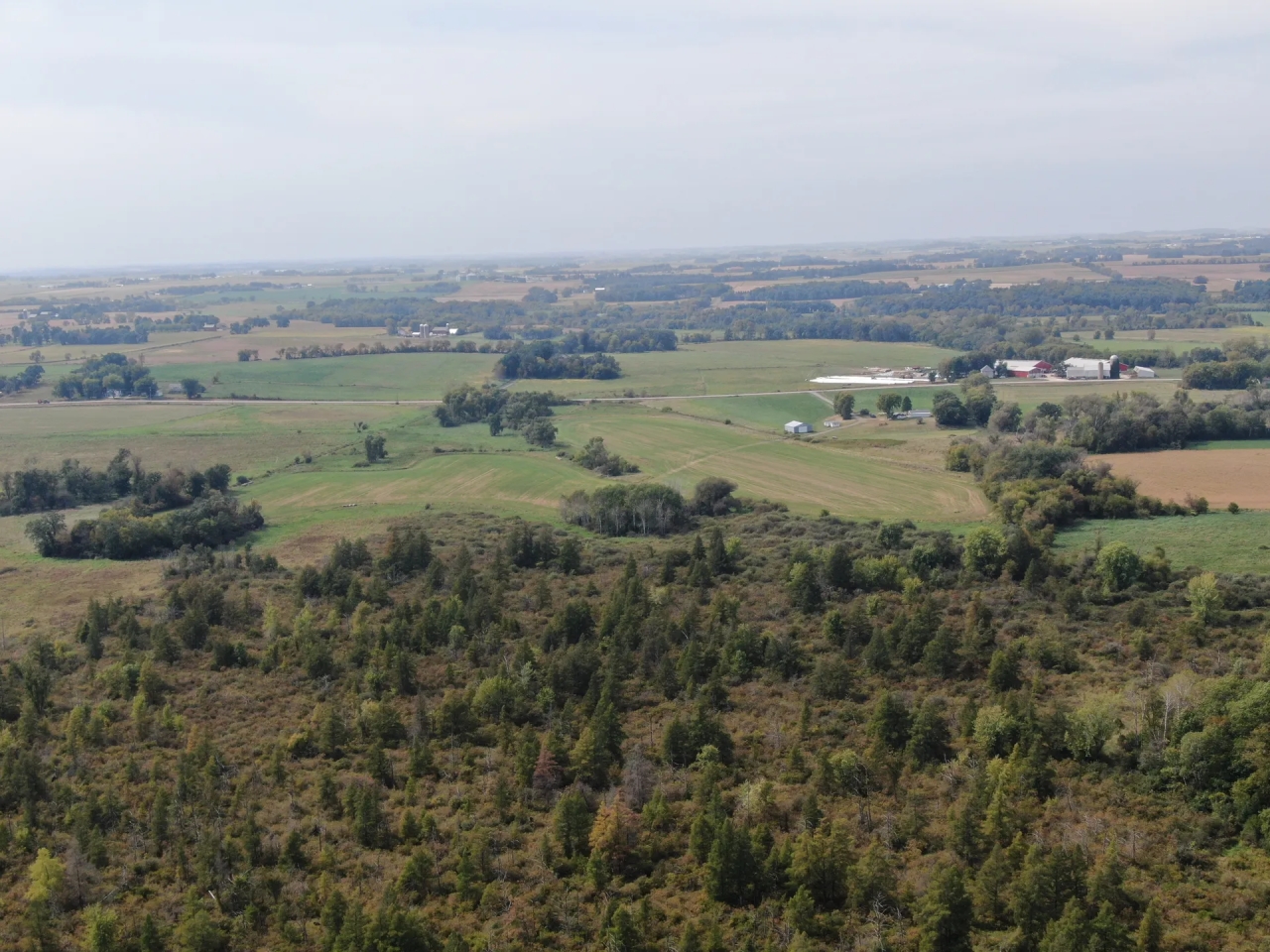 120 Acres of Land in Hamden Columbia County WI Hunting Land for Sale