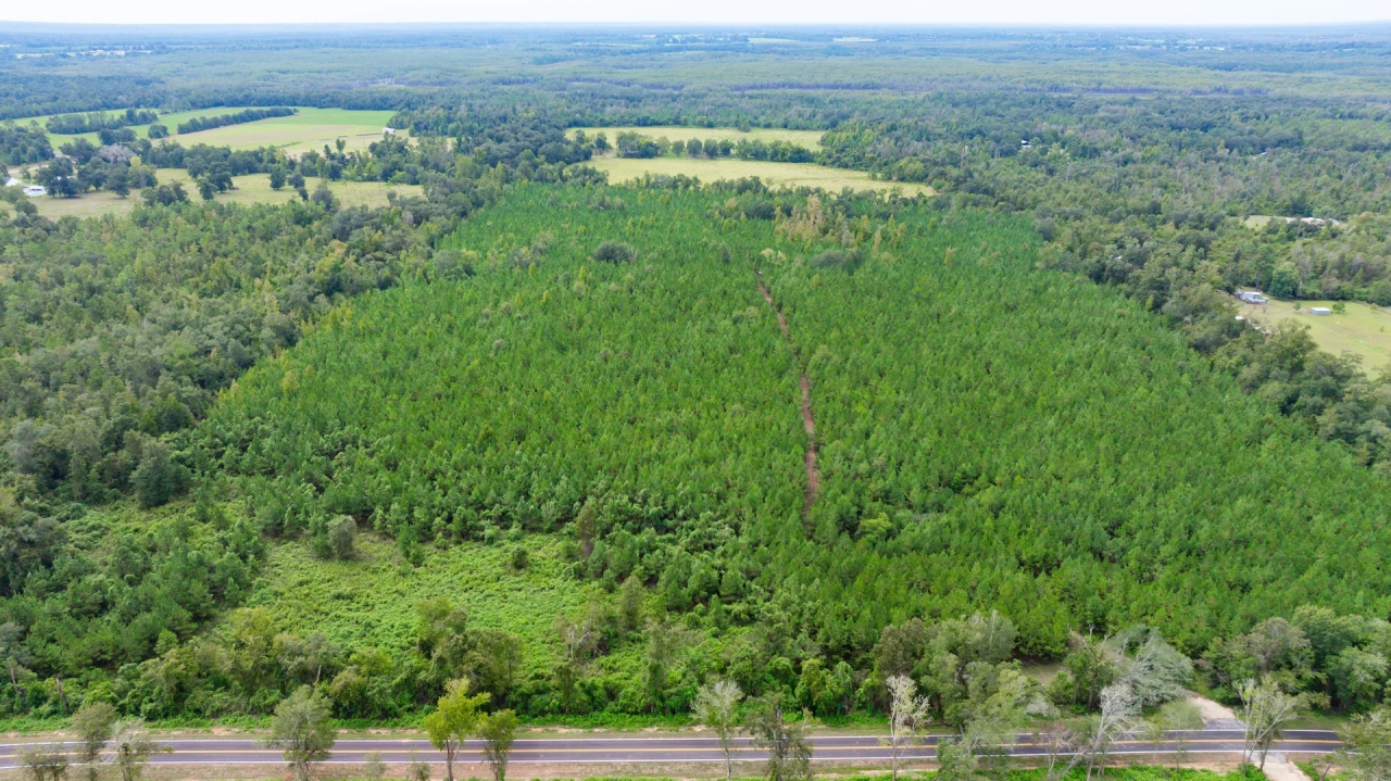 Inwood Farm Hunting Land for Sale