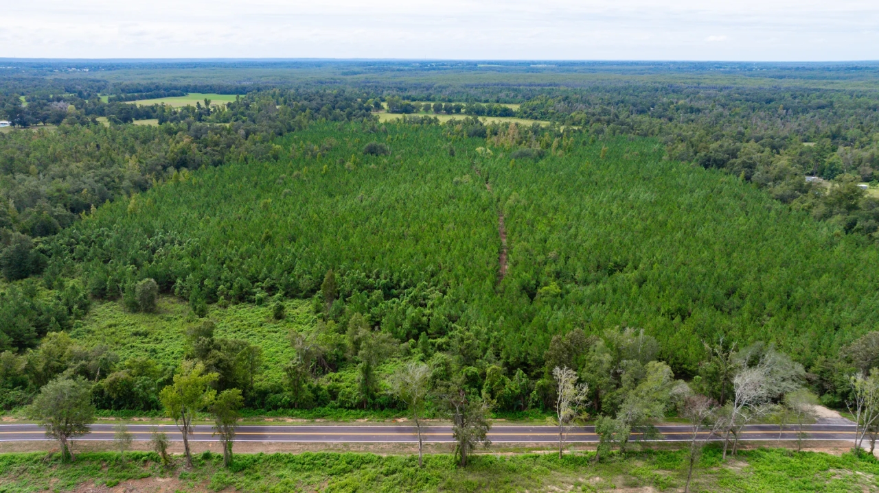 Inwood Farm Hunting Land for Sale