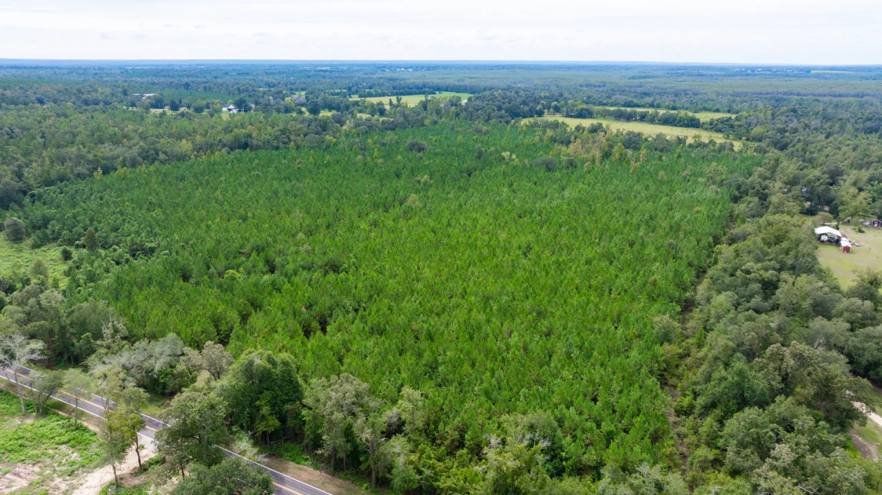 Inwood Farm Hunting Land for Sale