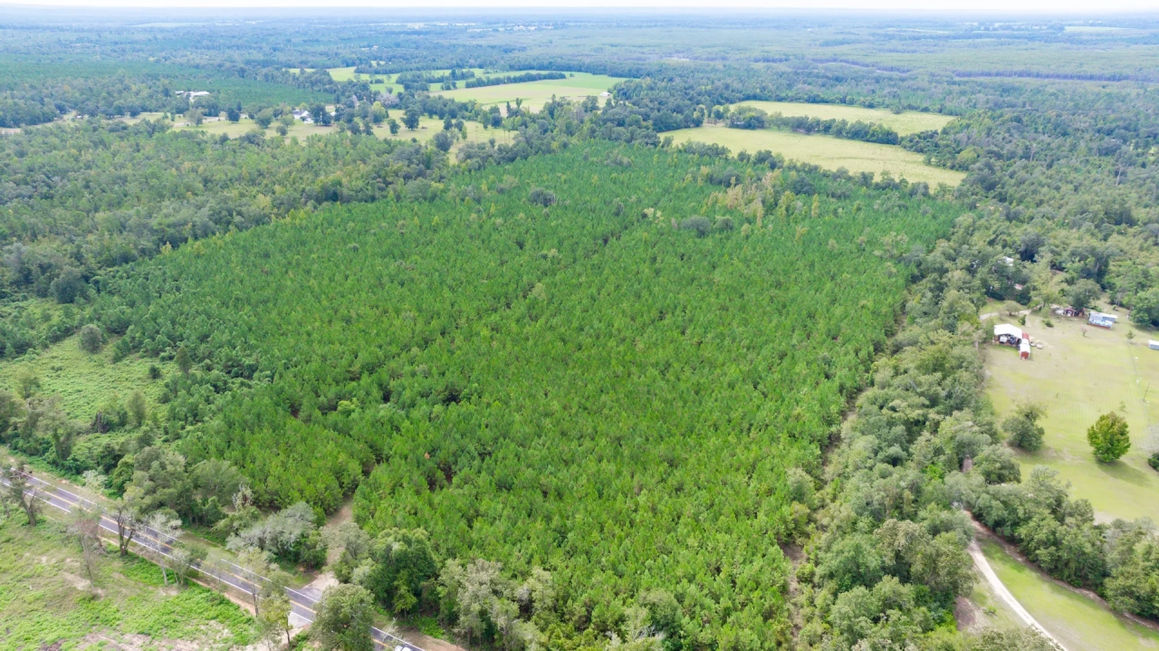 Inwood Farm Hunting Land for Sale