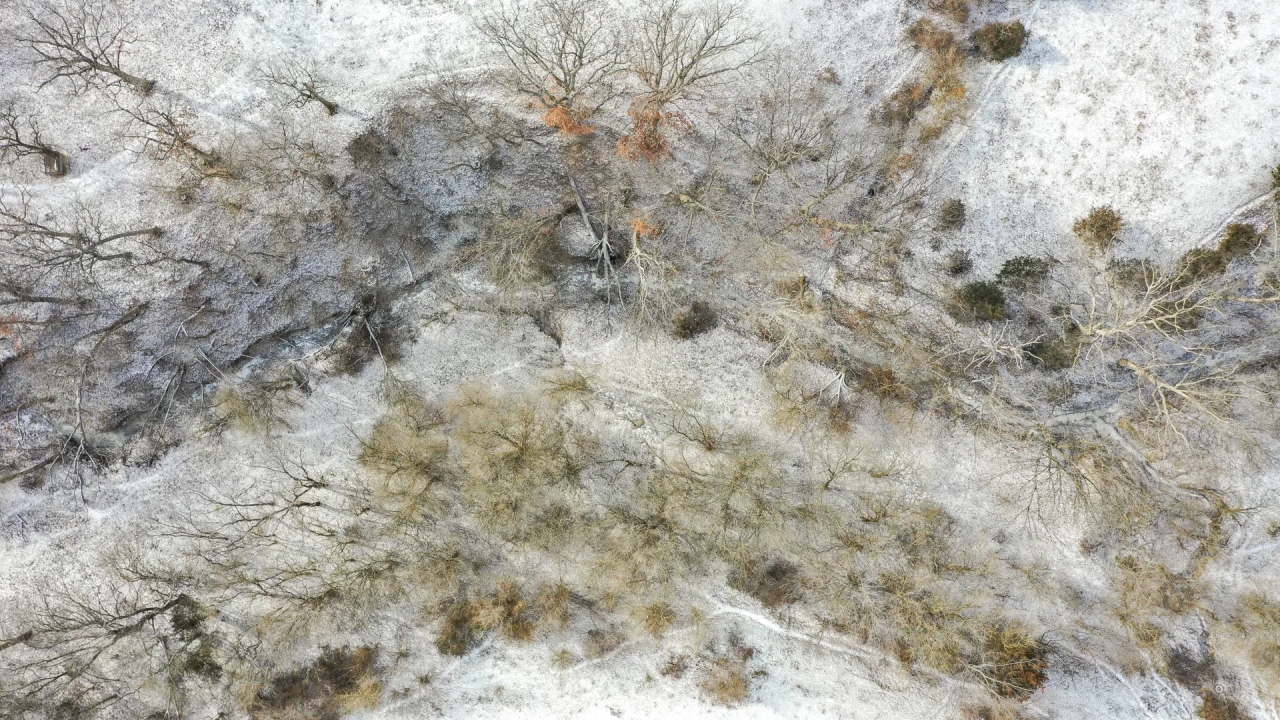 County Line Rd Brighton IL Hunting Land for Sale