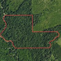50 Acre Recreational Tract in Pearl River County MS images 2