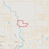 50 Acre Recreational Tract in Pearl River County MS images 3