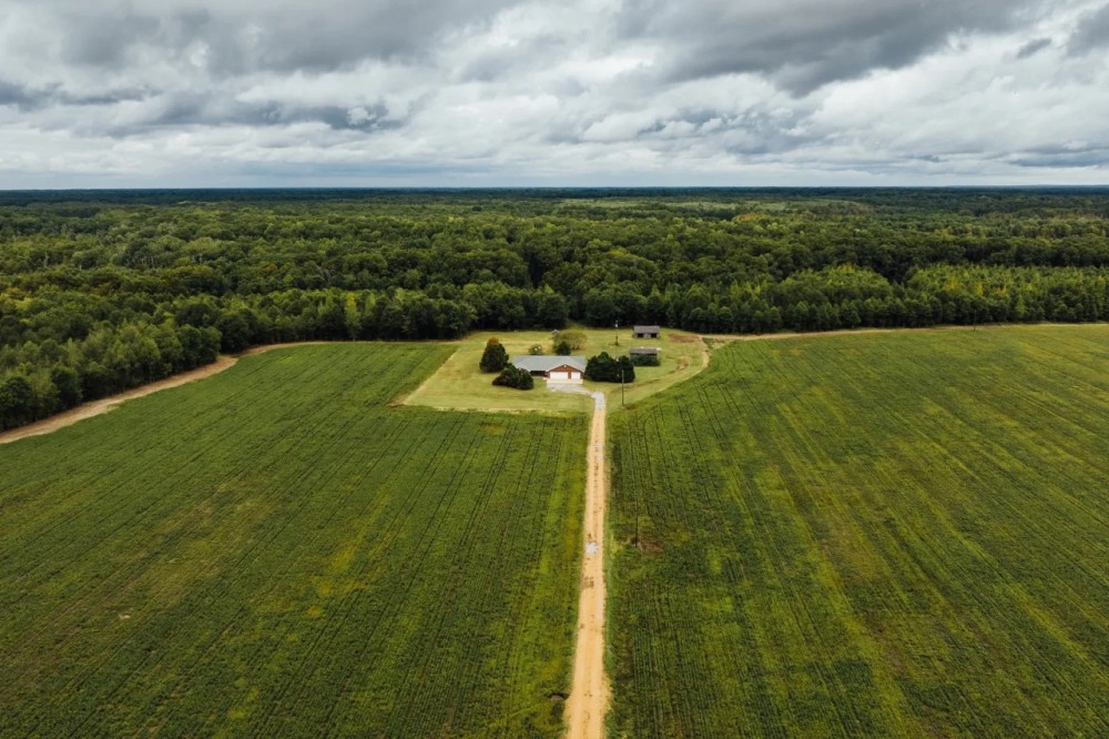 176.18 Acres with a Home in Leflore County MS featured image