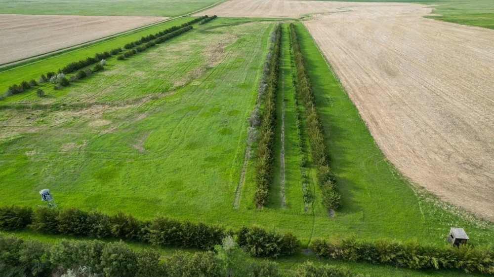 Agar Hunting Acreage featured image