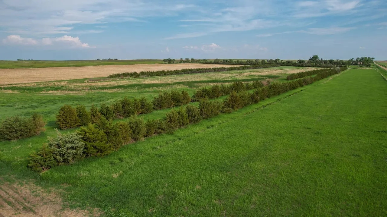 Agar Hunting Acreage Hunting Land for Sale