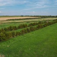 Agar Hunting Acreage images 3