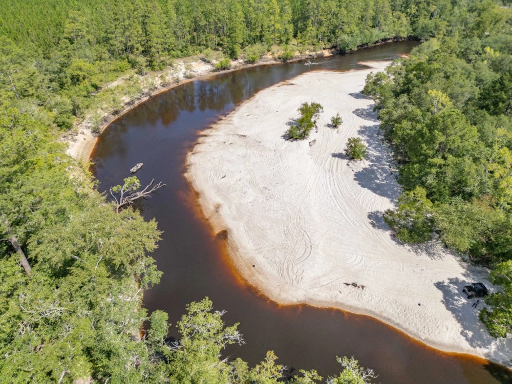 187.72 Acres - Tract 1 on Riverfront Haven on Alapaha River featured image