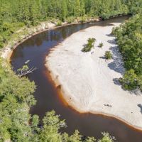 187.72 Acres - Tract 1 on Riverfront Haven on Alapaha River
