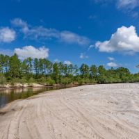 187.72 Acres - Tract 1 on Riverfront Haven on Alapaha River images 2
