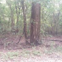 94 Acres Agency CA Turkey and Deer Hunting Land in Buchanan, MO images 3