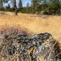 Jasper Stone Hollow images 2