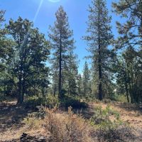 Jasper Stone Hollow images 3