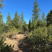 Jasper Stone Hollow images 4