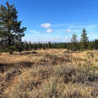 Jasper Stone Hollow images 5