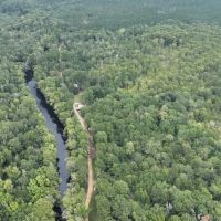 Bodcau Bayou Ducks and Bucks Lafayette County 356 Acres - images 3