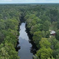 Bodcau Bayou Ducks and Bucks Lafayette County 356 Acres - images 4