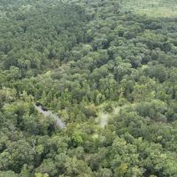 Bodcau Bayou Ducks and Bucks Lafayette County 356 Acres - images 5