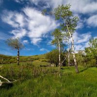 Story Mountain Ranch images 2