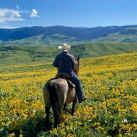 Story Mountain Ranch images 3