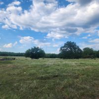 Blanco Pasture images 3