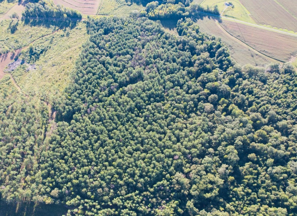 48.29 Acres in Madison County MS featured image