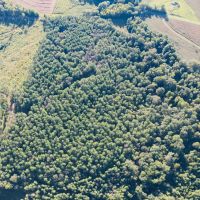 48.29 Acres in Madison County MS