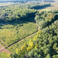 48.29 Acres in Madison County MS images 2