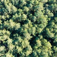48.29 Acres in Madison County MS images 3