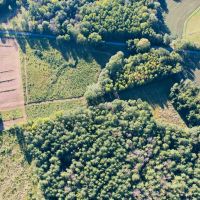 48.29 Acres in Madison County MS images 4