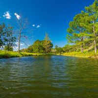 North Creek Ranch images 4