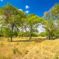 North Creek Ranch images 5
