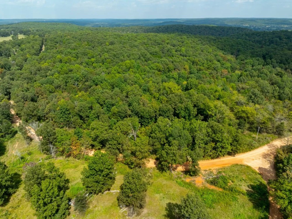 5 - Acres NO RESTRICTIONS Izard County Sidney Arkansas featured image