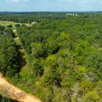 5 - Acres NO RESTRICTIONS Izard County Sidney Arkansas images 5