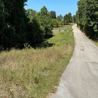 LAND FOR SALE - 7.8 ACRES BUILDING LOT- WOODED - PEKIN INDIANA - WASHINGTON COUNTY images 5