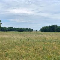 206.13 Acre Oklahoma Cattle Ranch Coalgate OK images 4