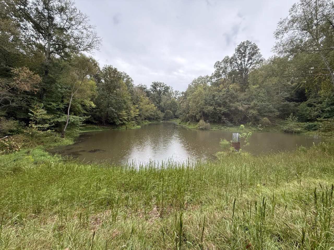 MS Warren Hunting Land for Sale