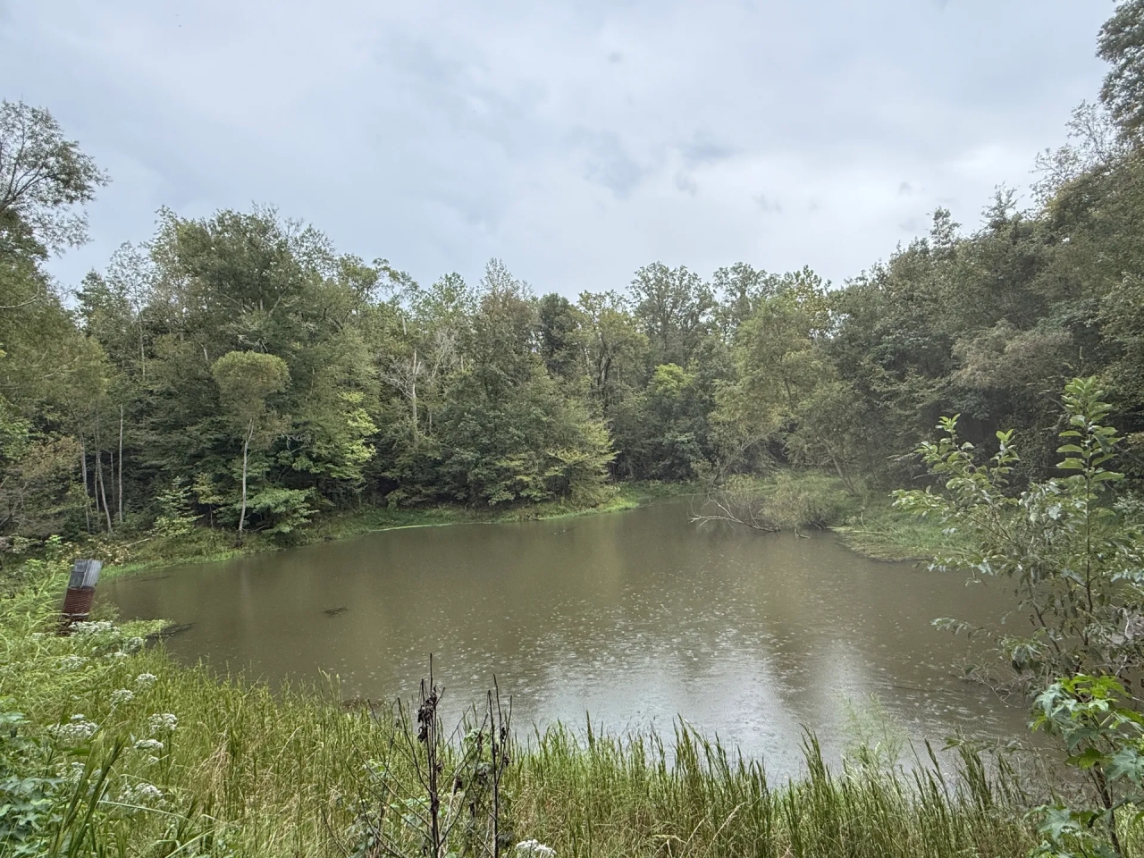 MS Warren Hunting Land for Sale