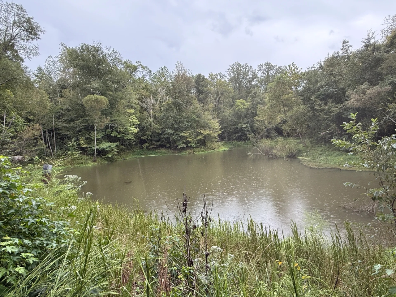 MS Warren Hunting Land for Sale