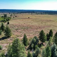 Ashton s Spring Creek Ranch images 3